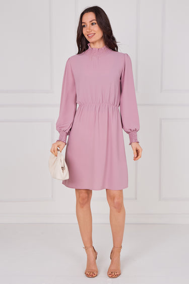 Dusty Rose Shirred Neck Long Sleeve Dress