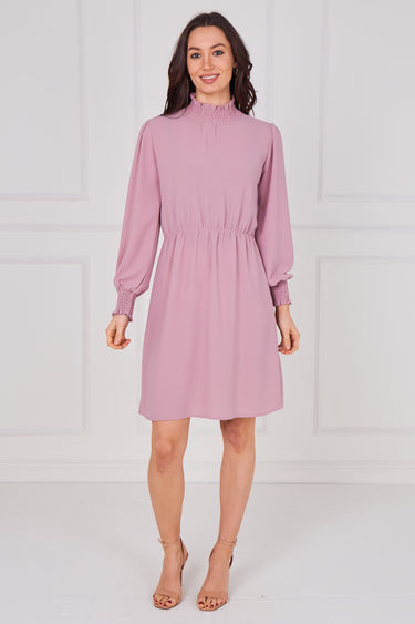 Dusty Rose Shirred Neck Long Sleeve Dress