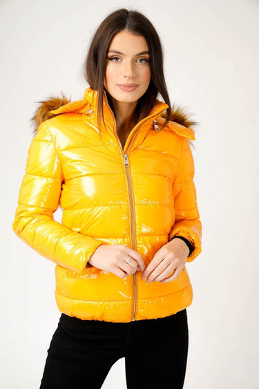 Love Sunshine Wet Look Padded Jacket with Faux Fur Hood in Shiny Mustard LS-6042