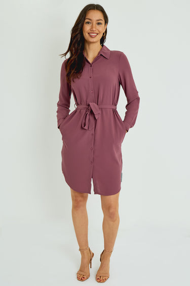 Rosewood Button-Front Mini Shirt Dress
