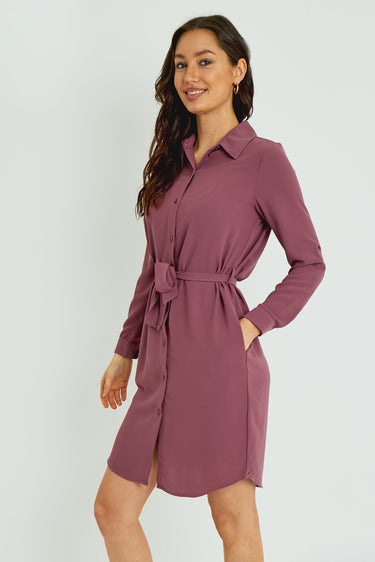 Rosewood Button-Front Mini Shirt Dress